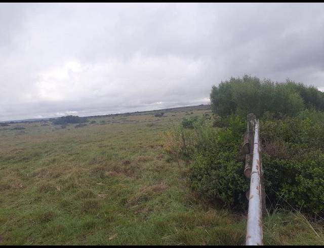 FARM FOR SALE IN MOSSEL BAY RURAL